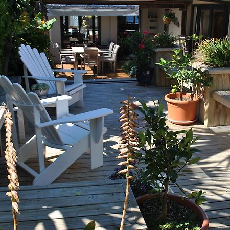 Terry And Cindy'S Bed And Breakfast Auckland Esterno foto